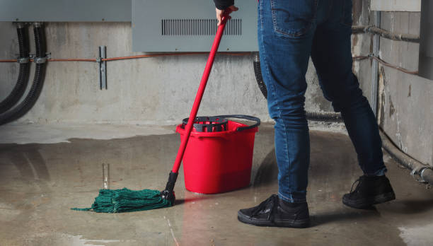 Best Ceiling water damage repair  in Haviland, NY
