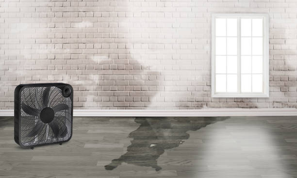 Best Flood restoration services  in Haviland, NY