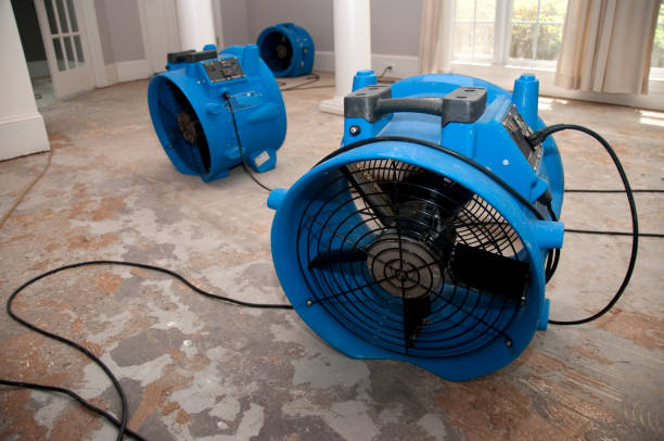 Best Residential water damage restoration  in Haviland, NY