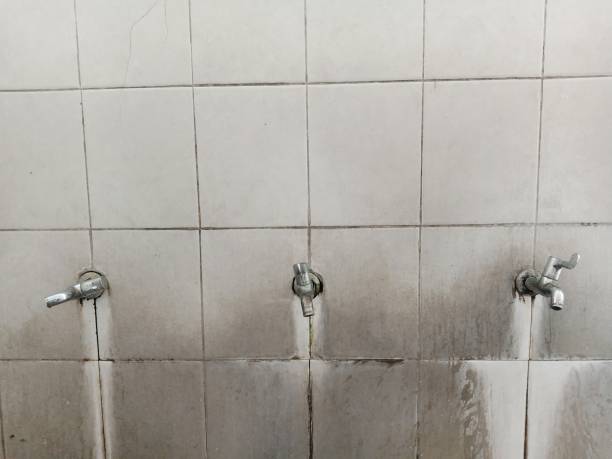 Best 24/7 water damage repair  in Haviland, NY
