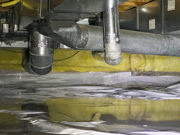 Best Water damage restoration experts  in Haviland, NY