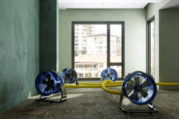 Best 24-hour water damage restoration  in Haviland, NY