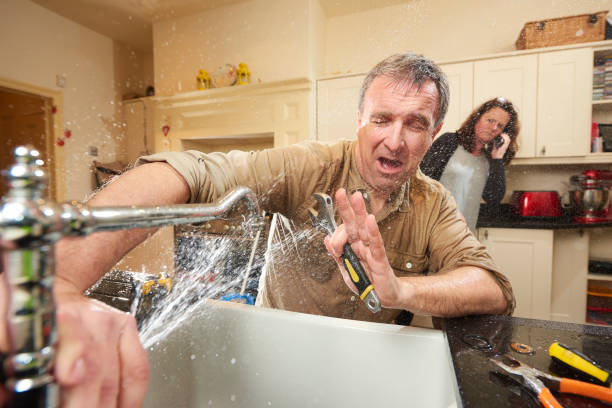 Best Professional water damage repair  in Haviland, NY